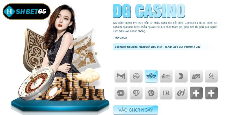 Những nhà cung cấp trò chơi casino trực tuyến được yêu thích nhất